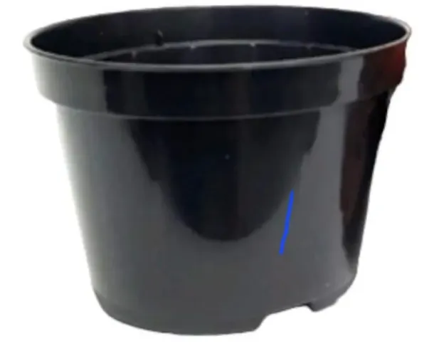 2 potes plantas n15 cor preto 