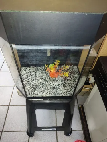 Aquário para peixes 