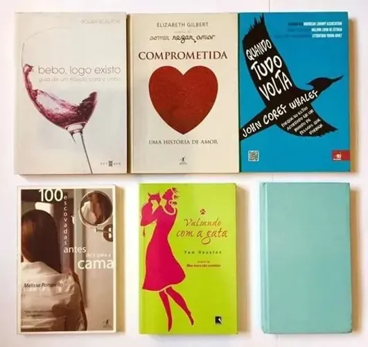 Lote 6 Livros romances: Lolita, Comprometida, Quando Tudo Volta, 100 escovadas, Bebo logo