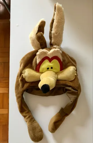 Looney tunes coiote