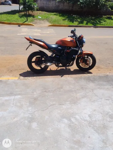Hornet