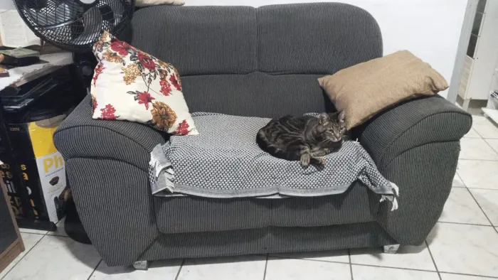 Doação sofa
