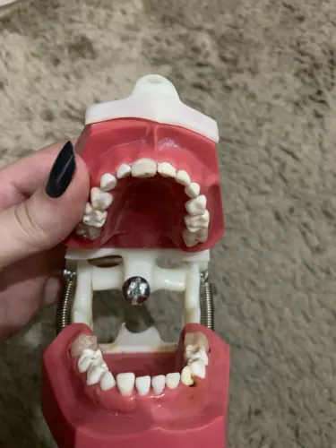 Manequim odontológico pediátrico Dent art