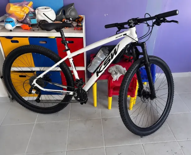 Bike aro 29