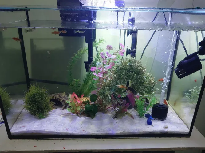 Aquario 64 litros super completo