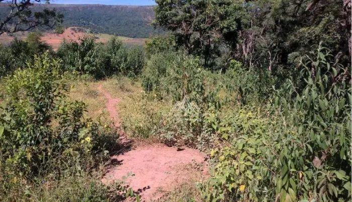 Terreno à venda, 60000 m² por R$ 1.200.000,00 - Guape - Guapé/MG