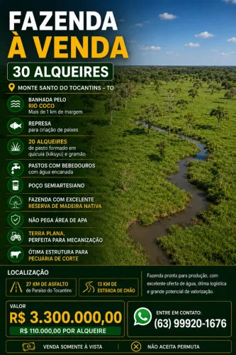 Fazenda à Venda - 30 Alqueires | Monte Santo - TO