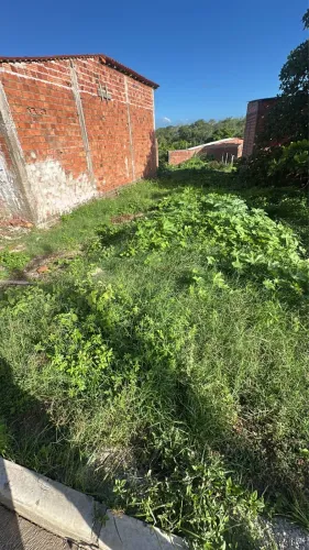 Vendo terreno no gapara