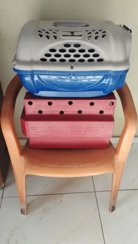 Vende-se Caixa de Transporte Cachorro