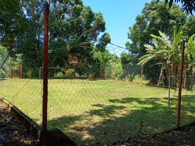 Sítio zona rural Guarapari. Estrada para Buenos Aires. Pomar diversificado, muito verde, p