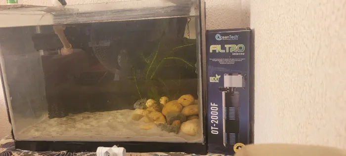 Aquário 80 litros pra vender completo 