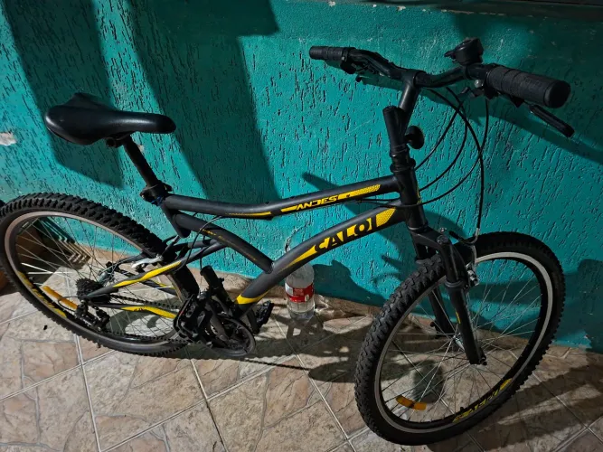 Bicicleta Carol