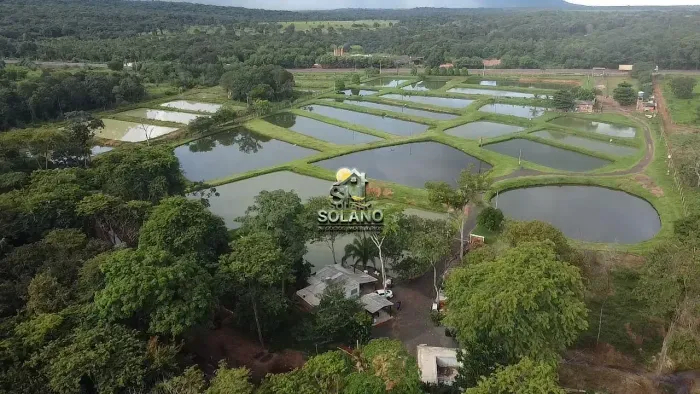 VENDO TERRA COM CRIAÇÃO DE PEIXES PRÓXIMO A NOVA OLÍMPIA MT.