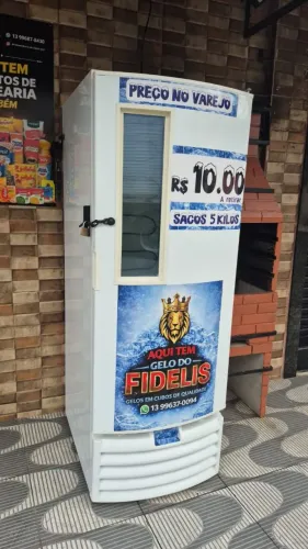 Frezzer Vertical p/ gelos  metal frio 220v  R$: 2500,00 usado vai c gelos q ta dentro