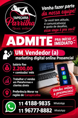 ADMITE VENDEDOR (A) ONLINE PRESENCIAL