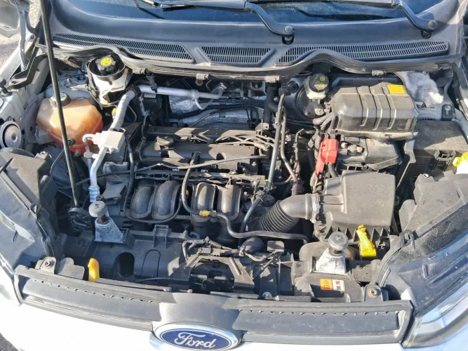 Ford Ecosport Freestyle 1.6 16V Flex 5P 2014
