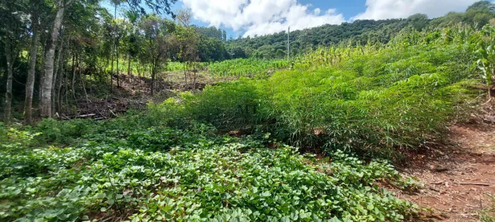 Área de terra a venda em Nova Petrópolis.RS Ref.:14