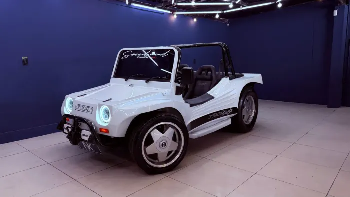 Fyber Buggy 2000w 1.8 8V/ 1.8 8V Flex 2004
