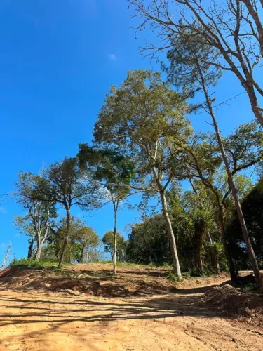 Aurora Park | Lotes a Partir de 500 m²
