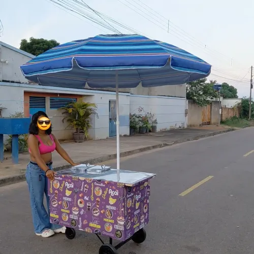 Carrinho de Lanche bem Novinho. 