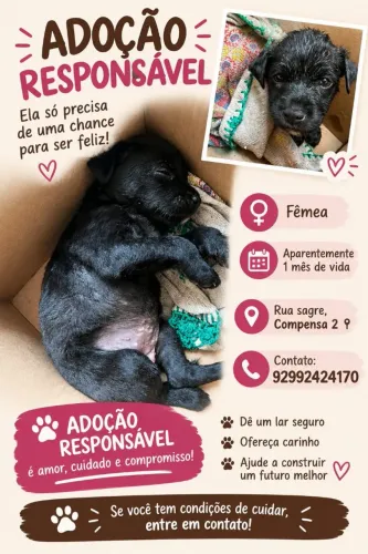 Filhote doação 