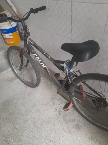 Bik Caloi