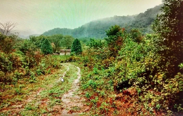 Vende-se Fazenda de 52 Alqueires em Sete Barras-SP, casa, cachoeira.