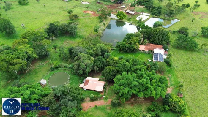 Chácara Estruturada à Venda em Caturaí GO | Pesque e Pague | 1,5 Alqueires