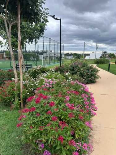 DIRETO COM PROPRIETÁRIO (Residencial Acacias Paulinia)
