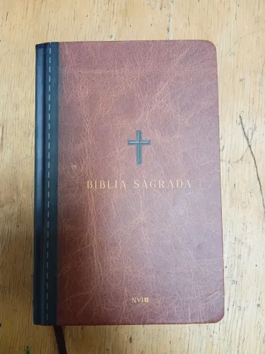Biblia nvi