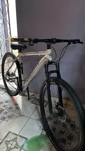 Bicicleta Absolute Aro 29
