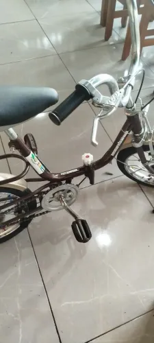 Bicicleta antiga
