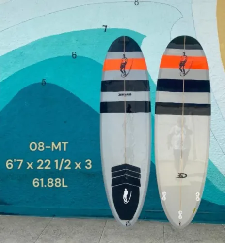 Prancha minitank classic longboards