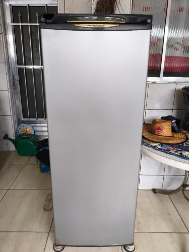 Frezzer 210 litros ,220v