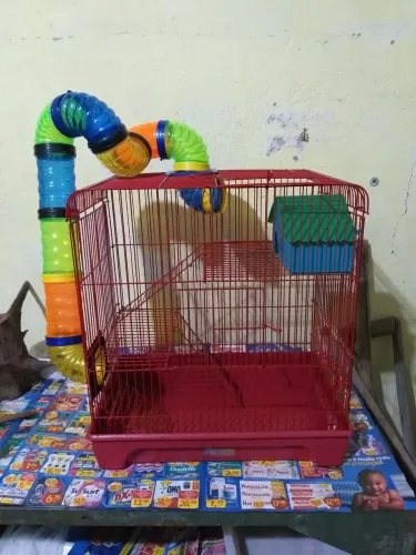 Gaiola para hamster