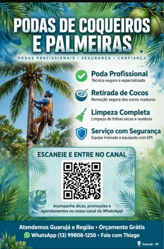 Limpeza podas ou retiradas td tipo de árvores