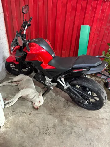 Honda CB 300f Twister Flex 2024
