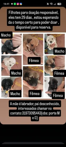 Doação responsável 