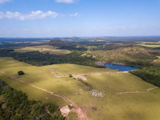 FAZENDÃO A VENDA NO ESTADO DO TOCANTINS-TO ?? *Área Total: 18.800 Mil Hectares 7.800 Alque
