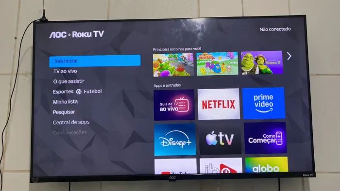 tv roku