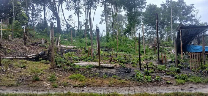 Terreno no km 8 do ramal do brasileirinho.
