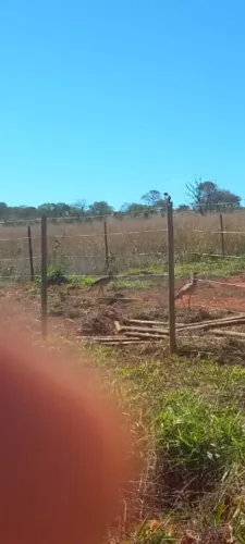 Vendo lonte 1000 ou troco por casa
