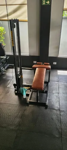 Mesa Flexora