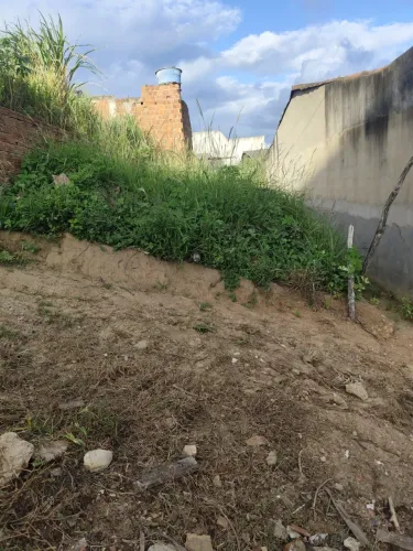 Terreno