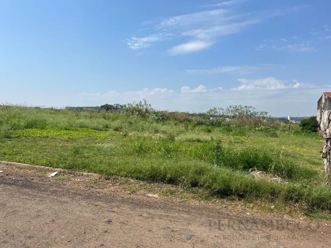 Terreno para Venda em São José do Rio Preto, DISTRITO DE ENGENHEIRO SCHIMIDT