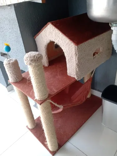 Casinha de gato dois andar,  nova com rede e arranhador. 