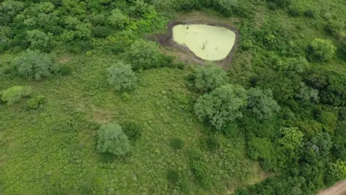 Fazenda/Sítio  com 150 hectares de porteira fechada cortada pelo Rio Potengi Beira de asfa