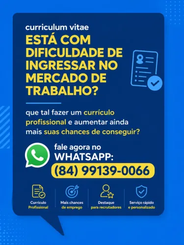 Currículo Profissional / Perfil LinkedIn