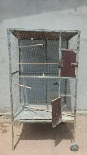 Viveiro para Aves