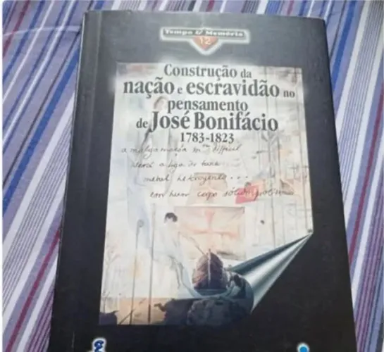 Construção da Nação e Escravidão - José Bonifácio